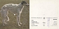 Carte sonore (45t) - Le dernier slow.jpg